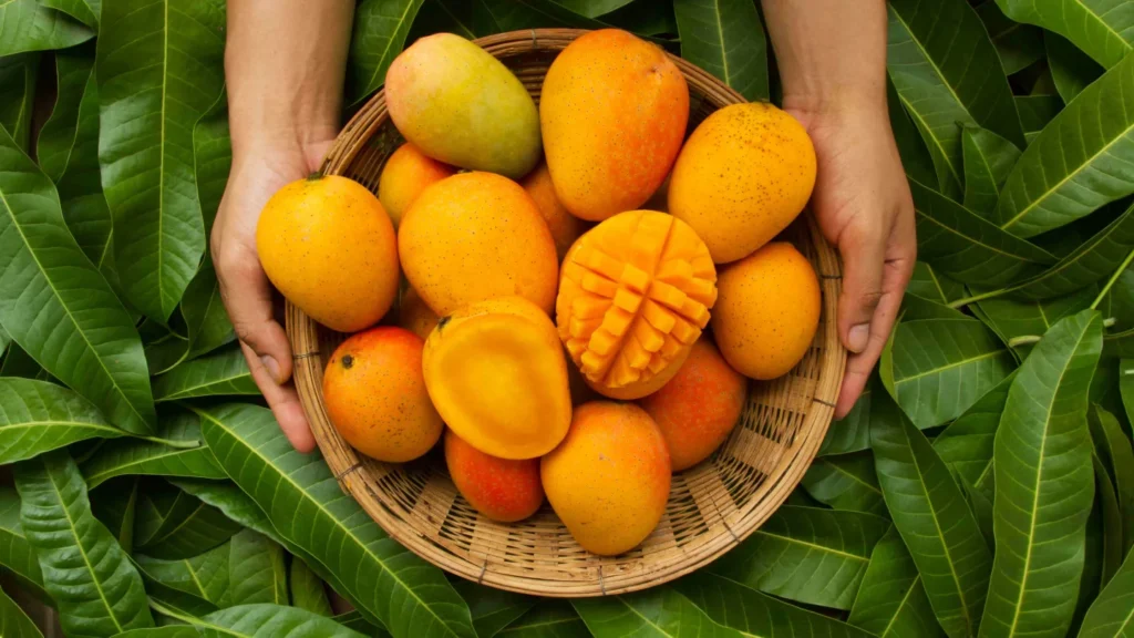 Mangoes Can Enhance Well-Being And Promote Healthy Living